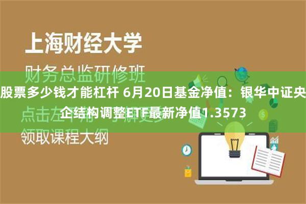 股票多少钱才能杠杆 6月20日基金净值：银华中证央企结构调整ETF最新净值1.3573