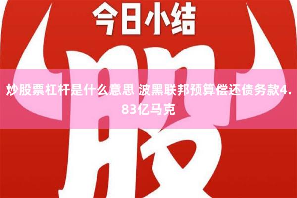 炒股票杠杆是什么意思 波黑联邦预算偿还债务款4.83亿马克